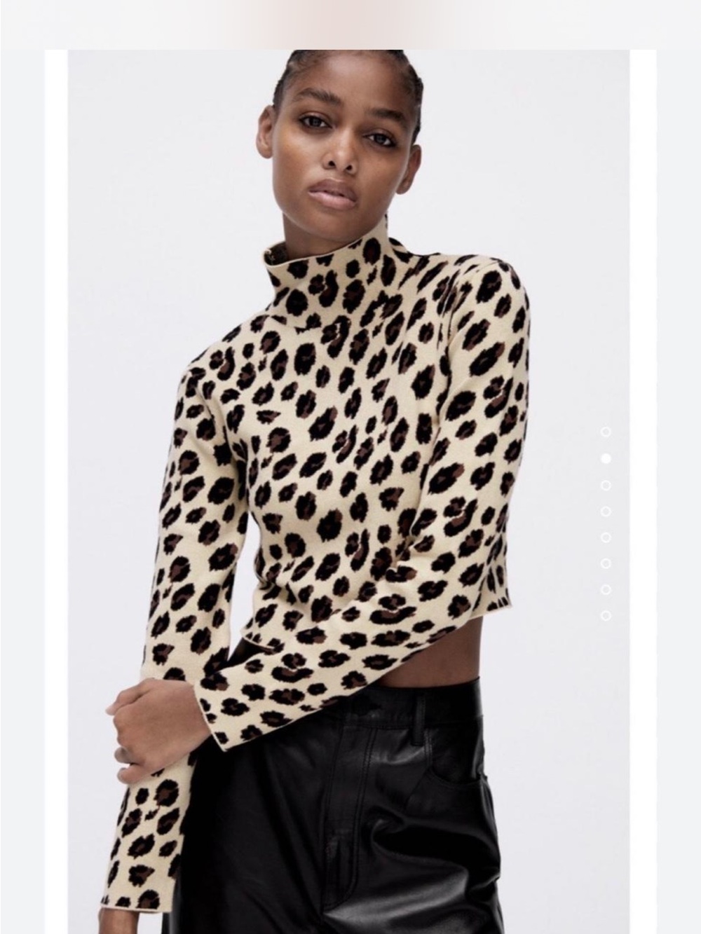 Zara Leopard Print Turtleneck Crop Top - Cream & Black
